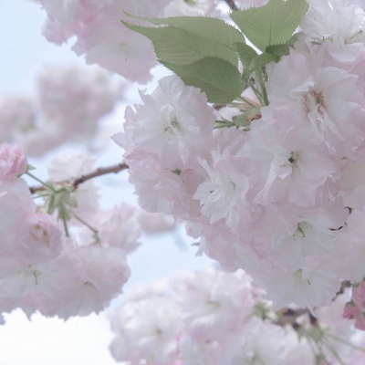 兽设海洋场景设计Furry群